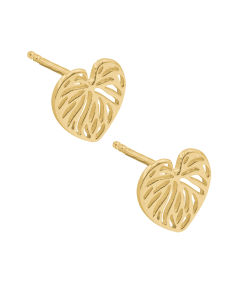 Boucles d'oreilles feuille de monstera ajourées 10 x 10 mm argent 925 plaqué or